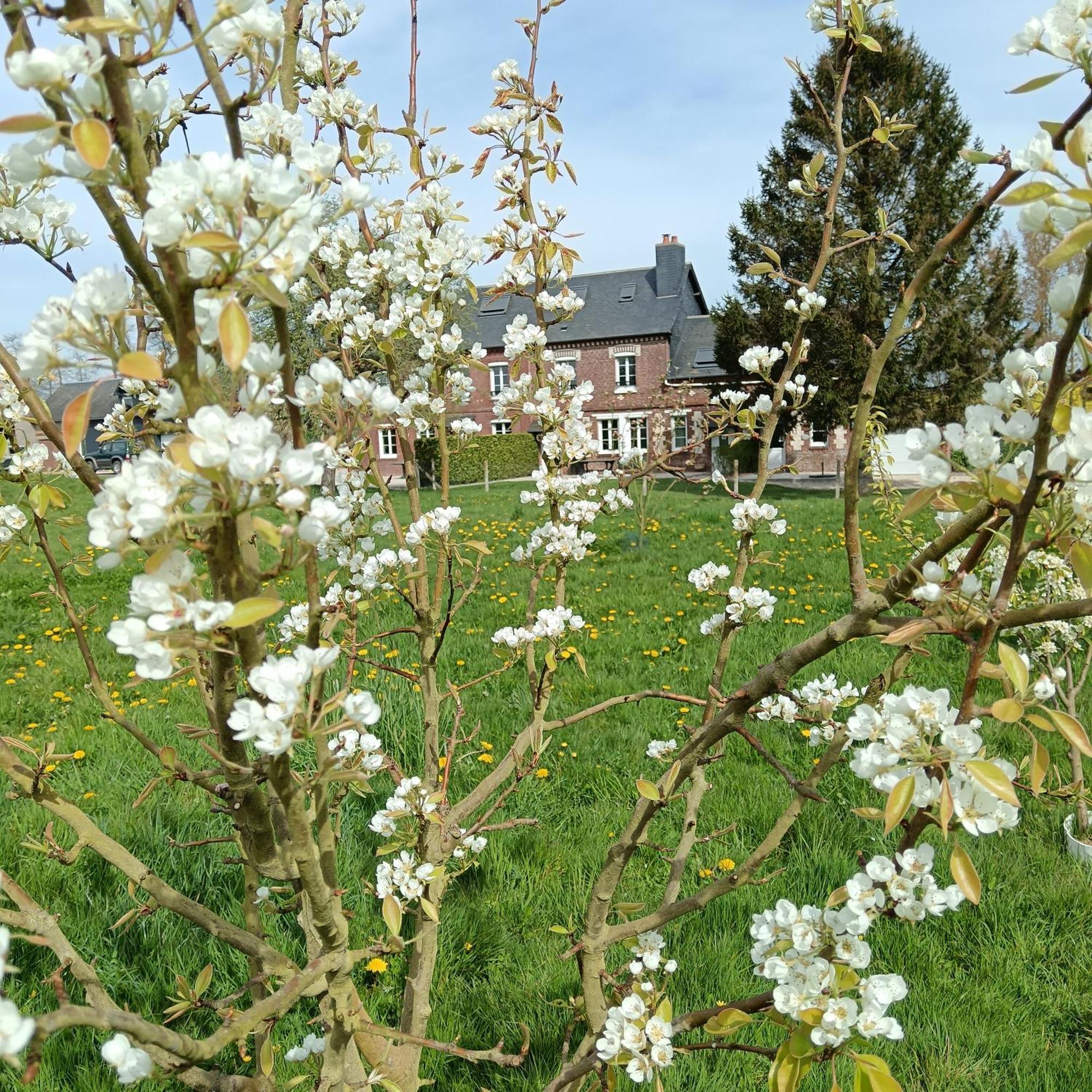 L'Ancienne Forge 3 Chambres D'Hotes A L'Etage La Forge , L'Enclume Et Le Marteau Louvetot 外观 照片